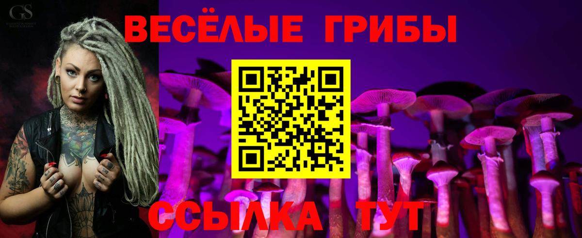 Кострома  Псилоцибиновые грибы MAGIC MUSHROOMS  Псилоцибиновые грибы мухоморы  наркотики  Вход с VPN 